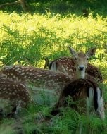 サムネイル画像