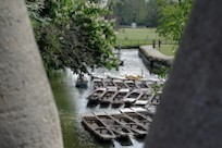 サムネイル画像：横長写真 (&num;146)