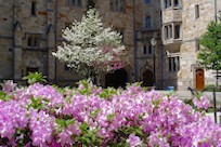 サムネイル画像：横長写真 (&num;171)